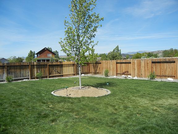Rear Yard