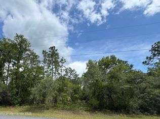 LOT 5 Wood Owl Ave, Brooksville, FL 34614