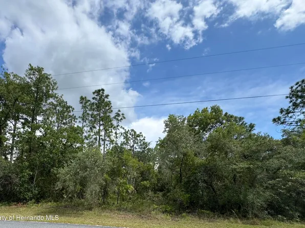 LOT 5 Wood Owl Ave, Brooksville, FL 34614