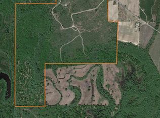 1201 Mouth Of The Creek Rd, Merryville, LA 70065