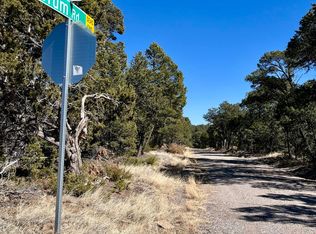 5 Drum Rd, Edgewood, NM 87015