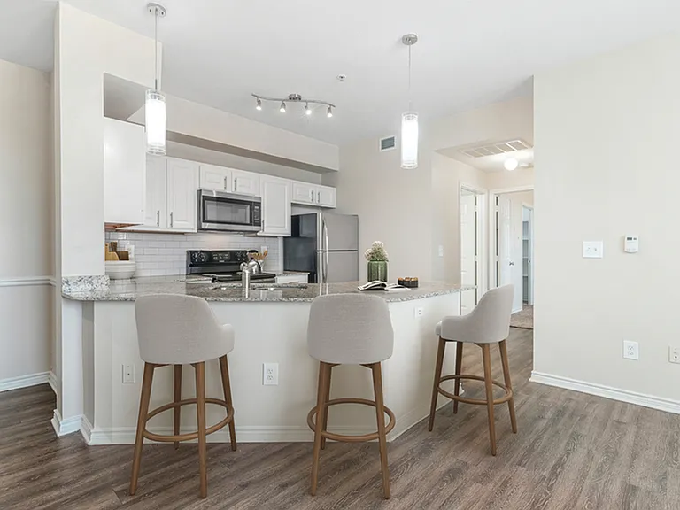 2x1 925 sqft B1U - Unit 05203 Kitchen Living_001 2x1 925 sqft B1U - Unit 05203 Kitchen Living_001
