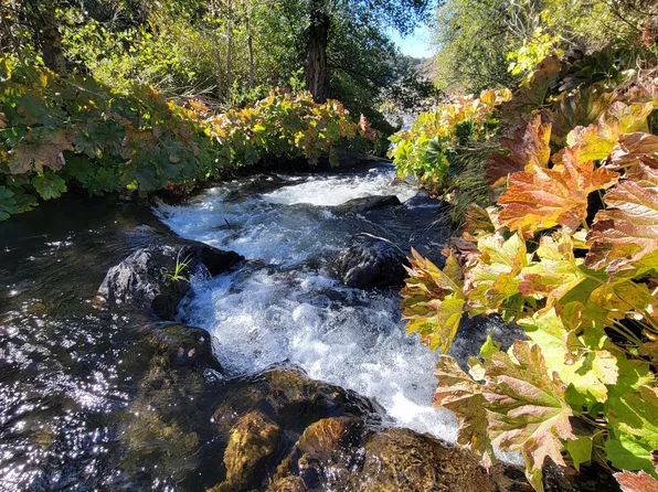 0 Old Montgomery Creek Rd, Montgomery Creek, CA 96065