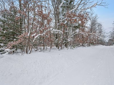 V/l Bagnall Blvd, Baldwin, MI, 49304