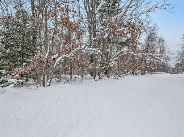 V/l Bagnall Blvd, Baldwin, MI 49304