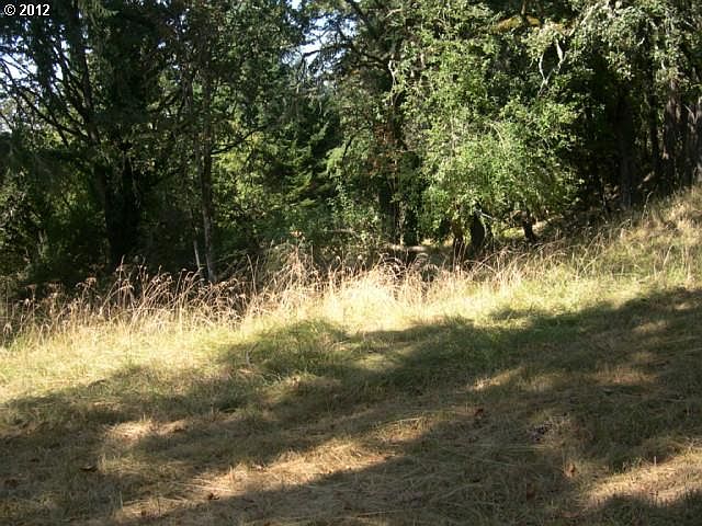 2nd image of N Shasta Loop