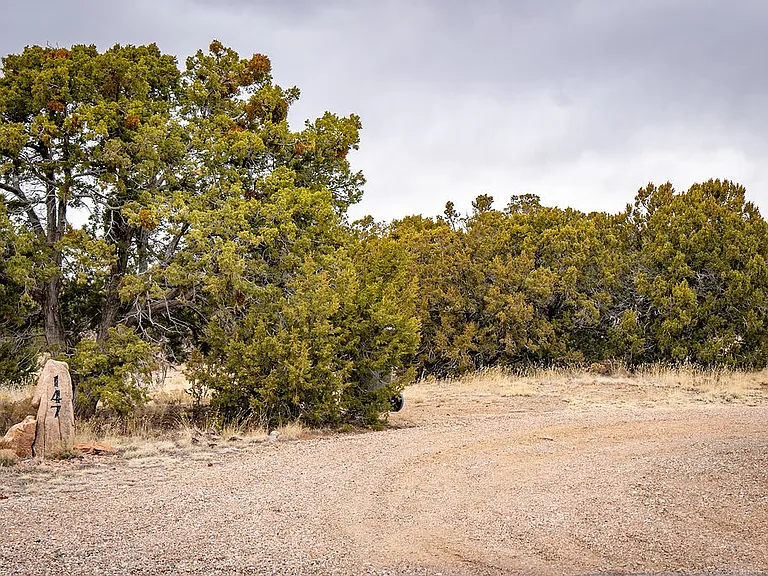 147 Nine Mile Rd — Photo 98