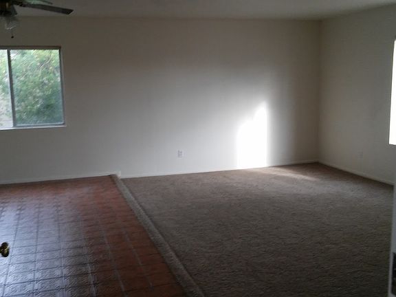 New Carpet