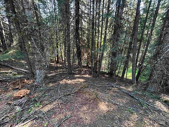 3rd image of Farrens Creek Ln