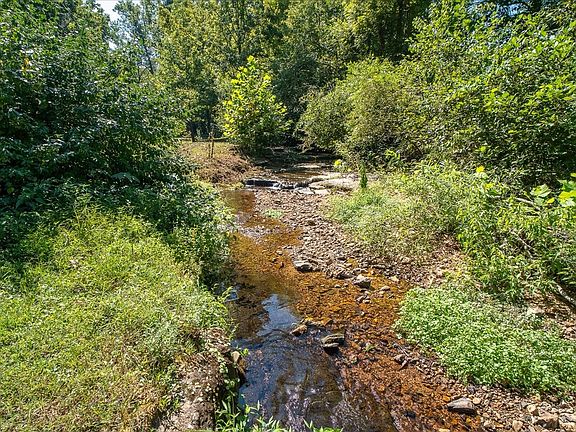 5th image of 772 Mink Branch Rd