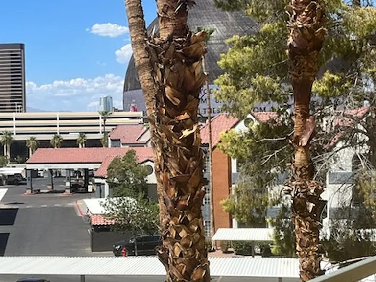 210 E Flamingo Rd #316 — Photo 12