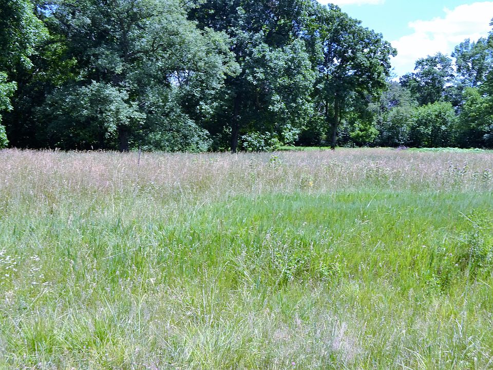 1st image of 7 Lakeview Pl #6