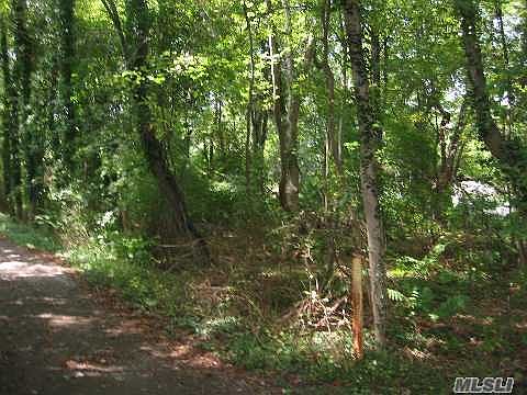 2nd image of Beaver Drive Elfin Pl
