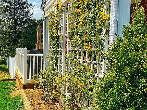 Garden privacy trellis