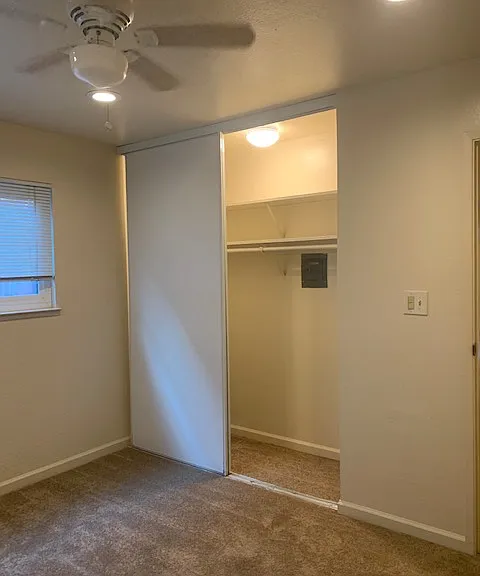 Ellis Park Apartments — Photo 16