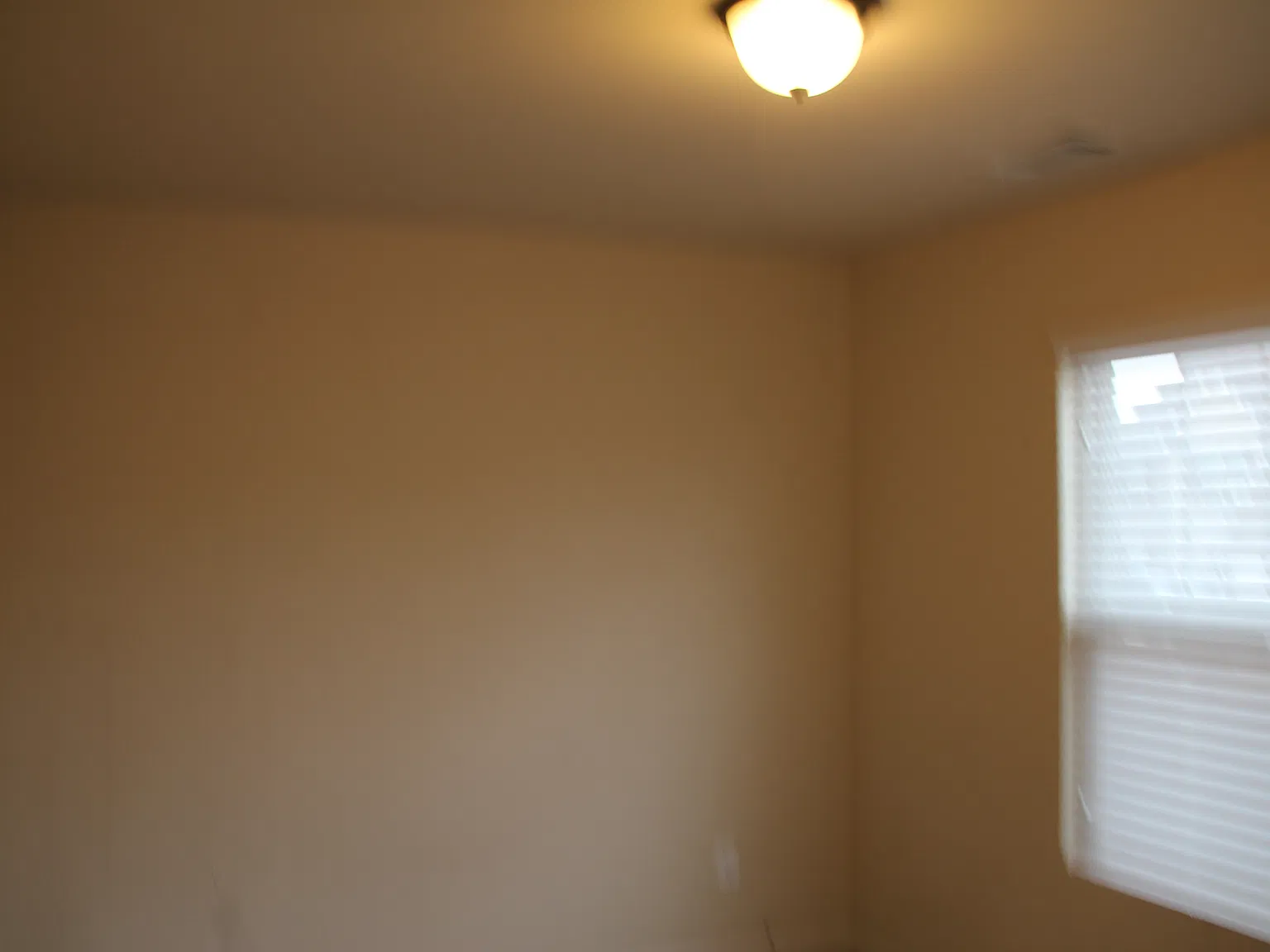 Lily Valley Dr, Lawrenceville — Photo 3