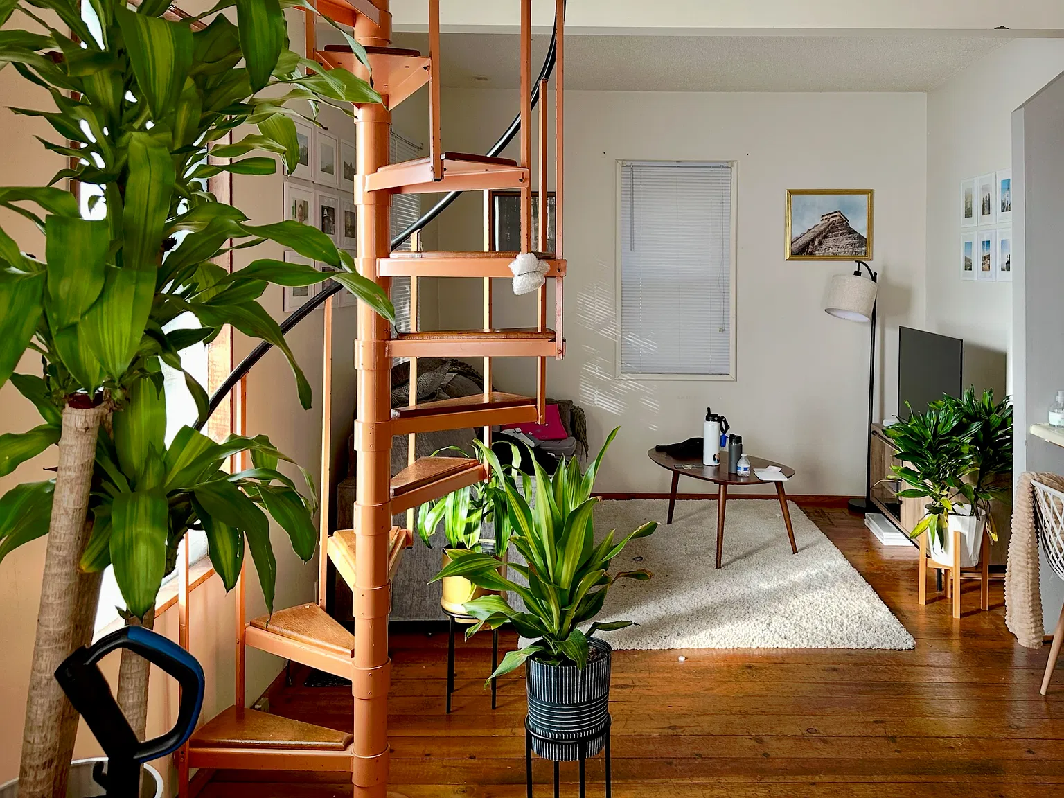 1 bed, 560 sqft, $1,445 — Photo 1