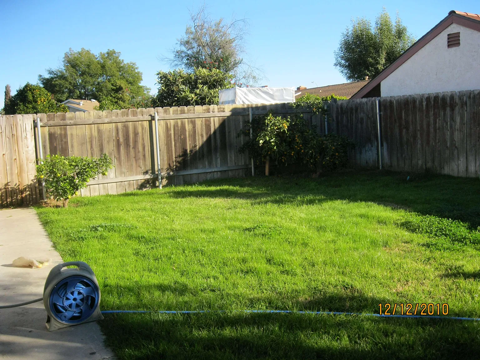 3 bed, 1134 sqft, $3,950 — Photo 4