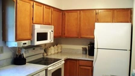 Modern kitchen with maple cabinets