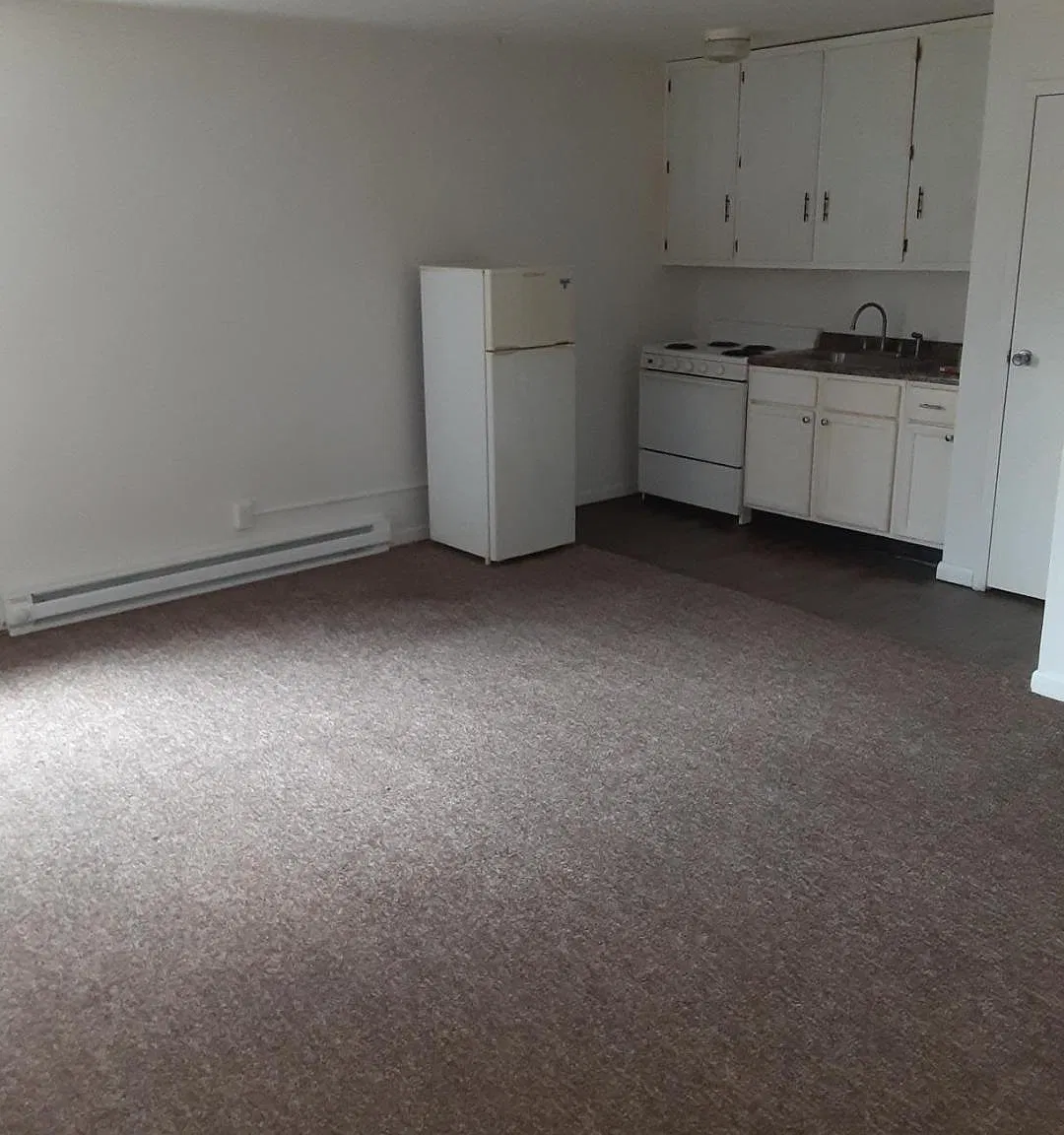 Studio, 450 sqft, $599 — Photo 1