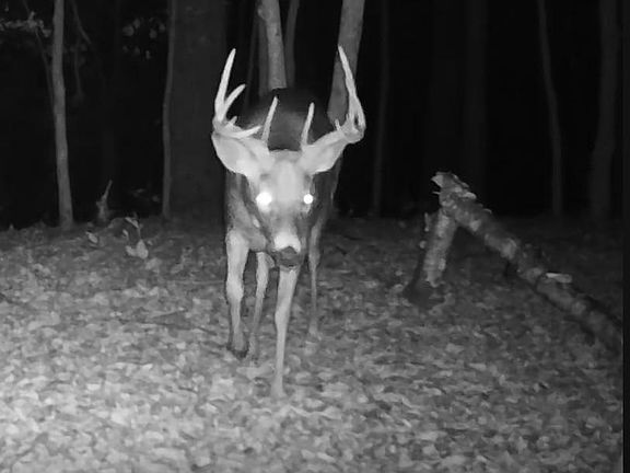 4th image of Cty Road 115/ County Rd #115