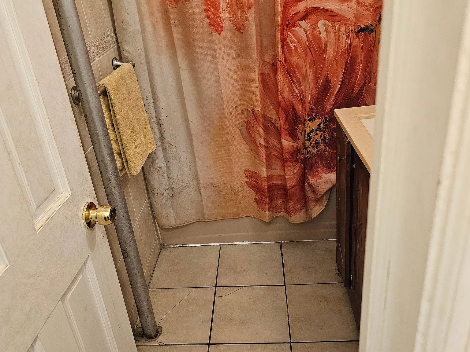 Sunnyside Room For Rent Shared Kitchen and Bathroom Newly Renovated and Near 7 Train — Photo 4