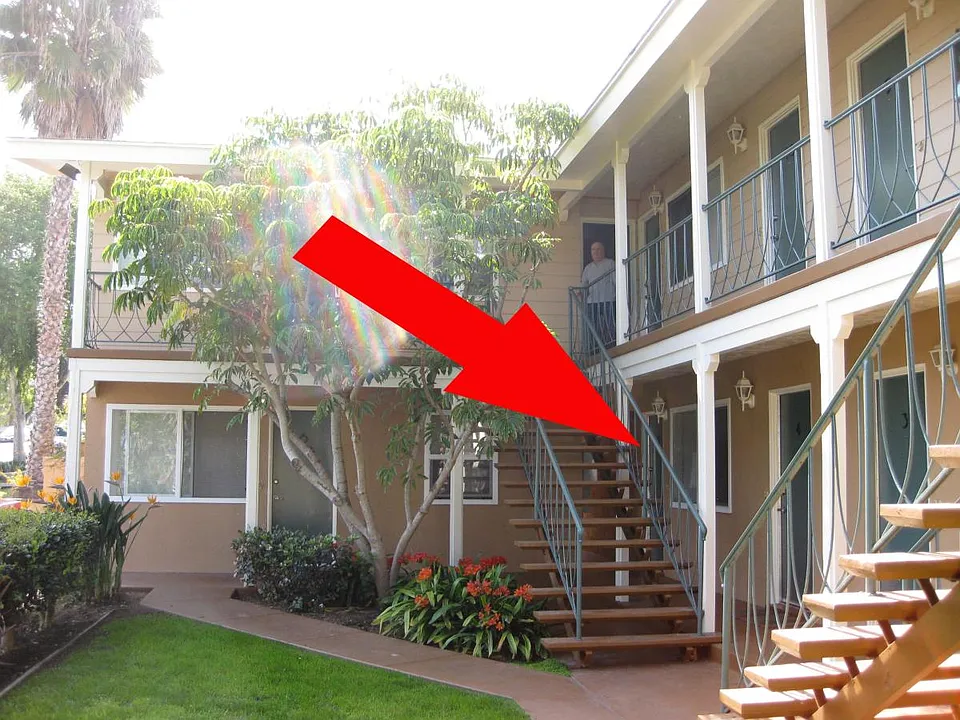 The location of within the complex