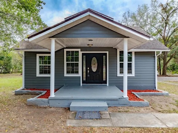 31444 Orange St, Sorrento, FL 32776
