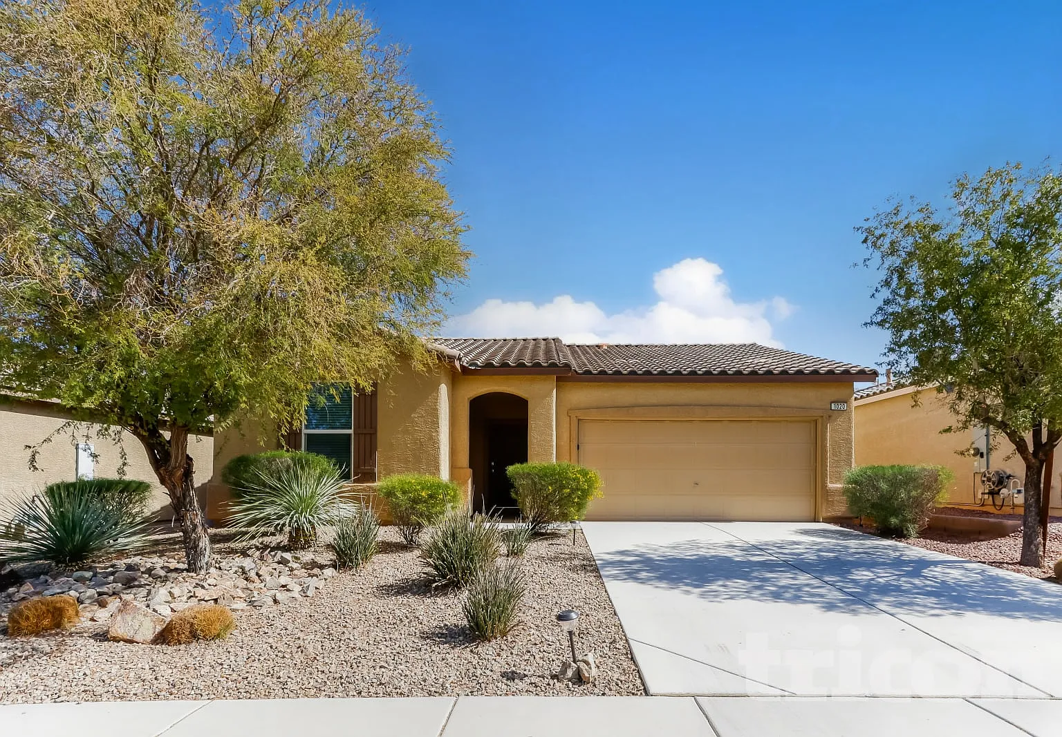 1020 Fishing Street Henderson NV — Photo 1