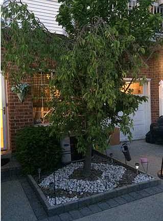 2nd image of 19 Edward Ct