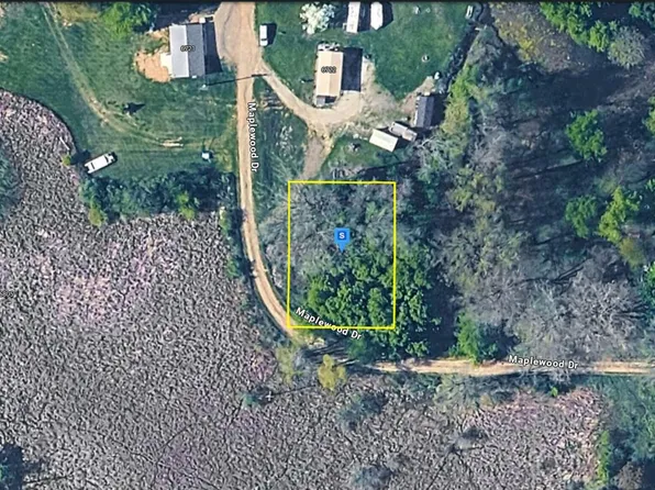 6720 Maplewood Dr, Delton, MI 49046