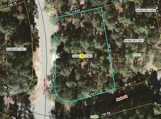 Birdie Court East Lake Rd, Wagram, NC 28396