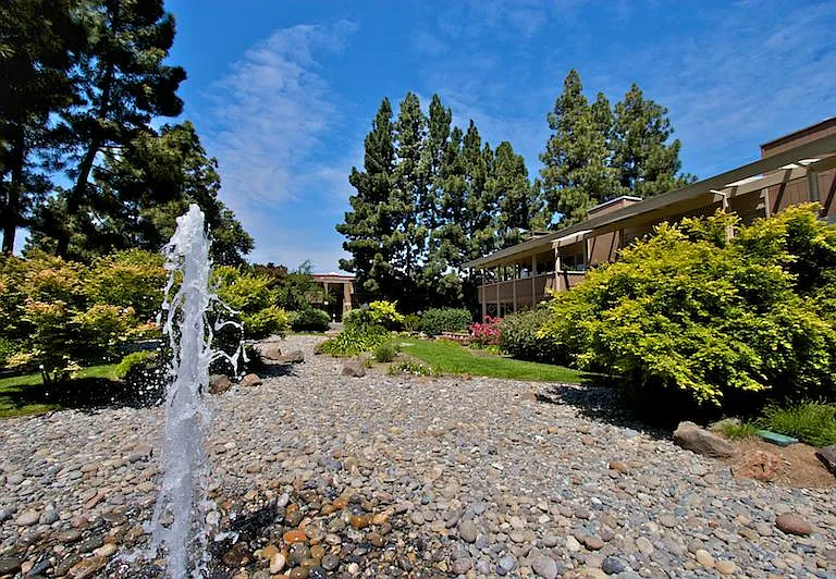 Lake Terrace — Photo 9