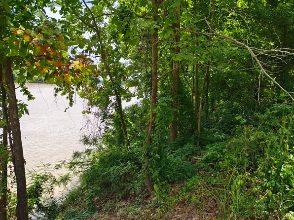 0 Laprairie Rd, Marksville, LA 71351