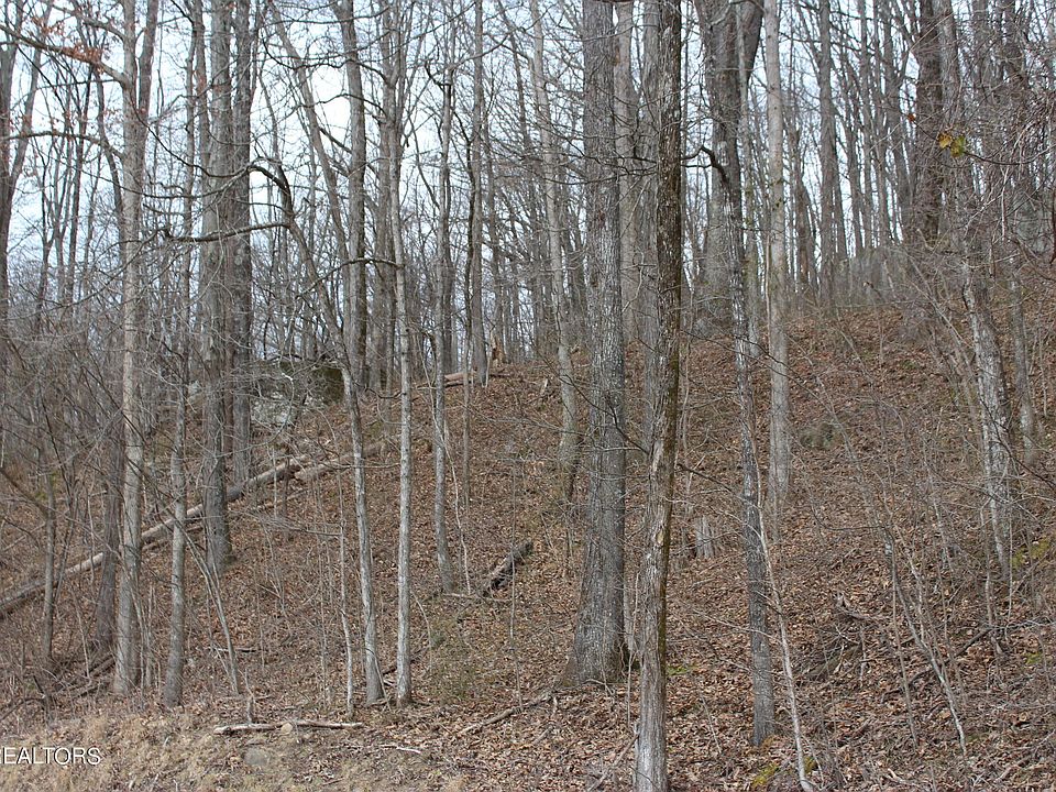 2nd image of Jean Ave