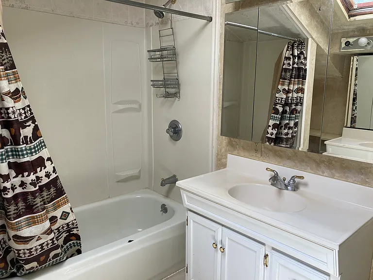 White Mountain Ranch Dr — Photo 14
