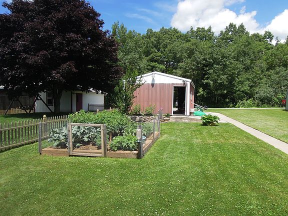 Backyard from House