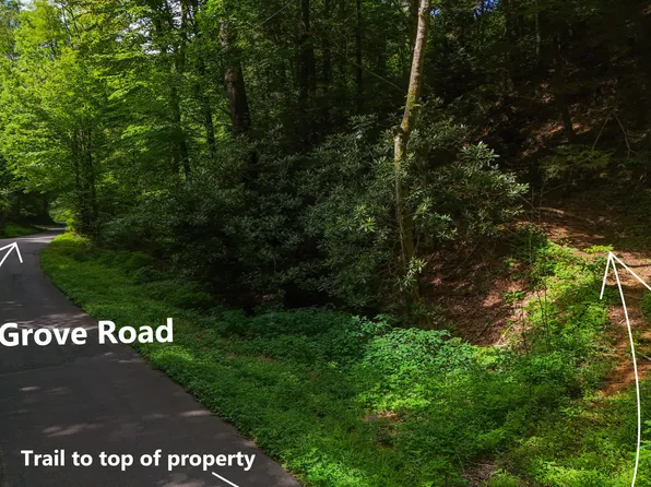 Tbd Piney Grove Rd, Hampton, TN 37658