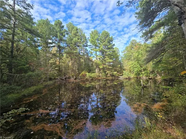 0 Bass Mountain Rd, Snow Camp, NC 27349