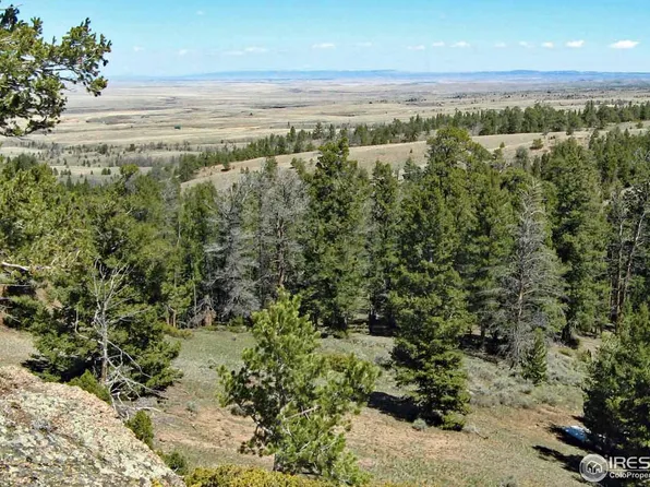 (undisclosed Address), Livermore, CO 80536