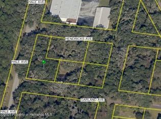 0 Hale Ave, Brooksville, FL 34601