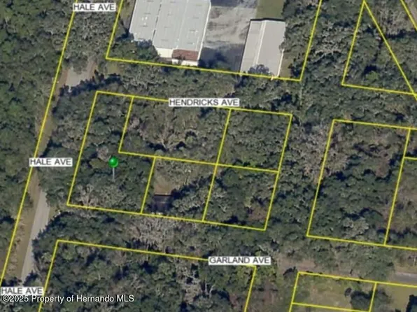 0 Hale Ave, Brooksville, FL 34601