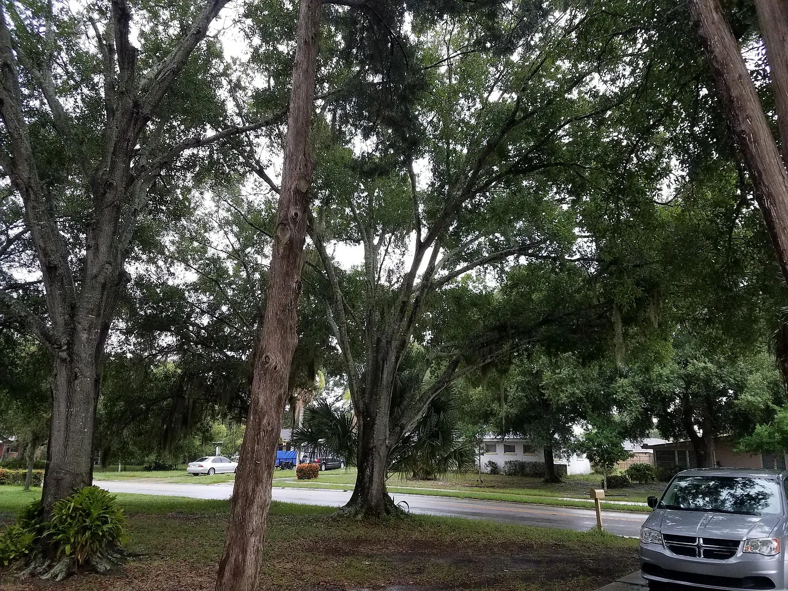 3 bed, 1050 sqft, $2,195 — Photo 3