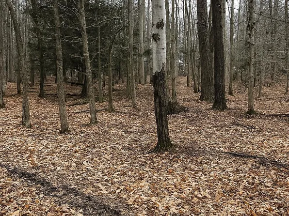 Timberlane Drive & Tamarack Trl, Albrightsville, PA 18210