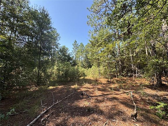 2nd image of 47444 Lawrence Creek Rd