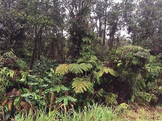 3rd image of Old Volano & Liona Lot 53B6