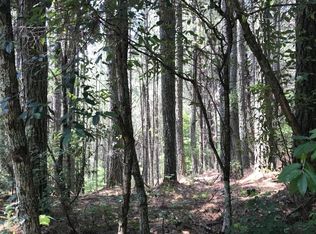 0 Hiwassee St, Copperhill, TN 37317