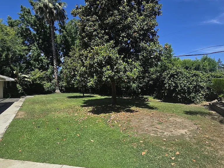 1176 W San Bruno Ave — Photo 78