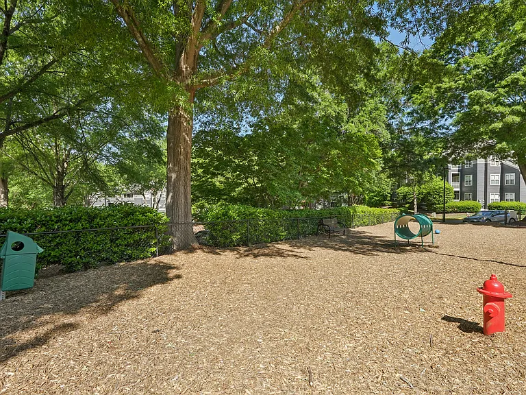 Hyde Park — Photo 24