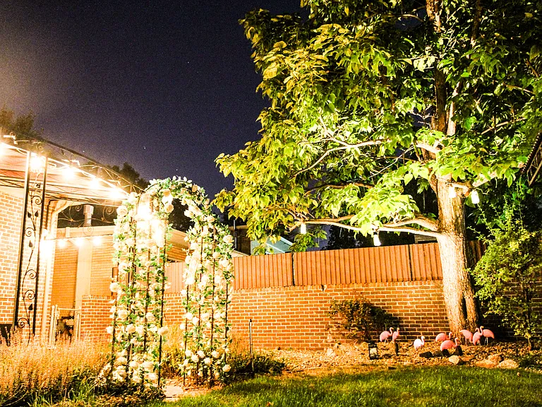 Backyard (Twilight view)